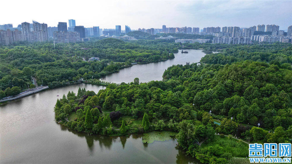 观山湖公园绝佳避暑胜地!