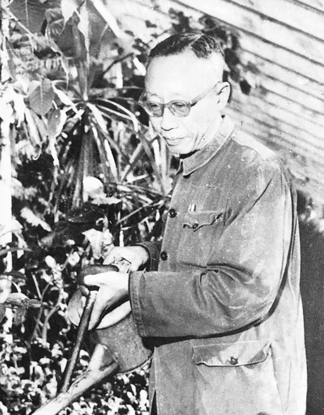 溥仪出逃时,将它缝在衣物里26年不离身,现为"国宝中的国宝"