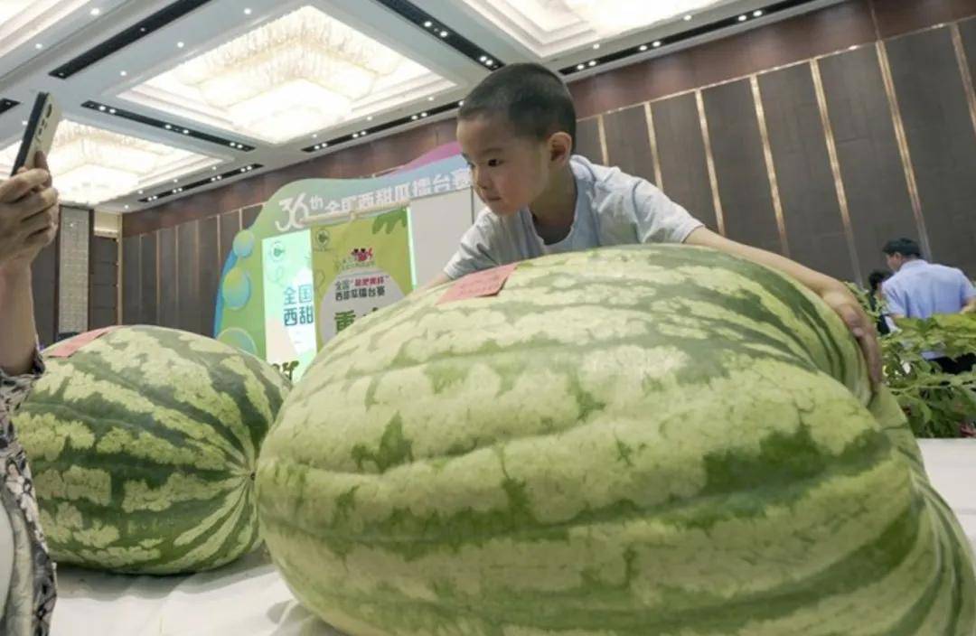大兴西瓜节,177.9斤"瓜王"惊艳亮相