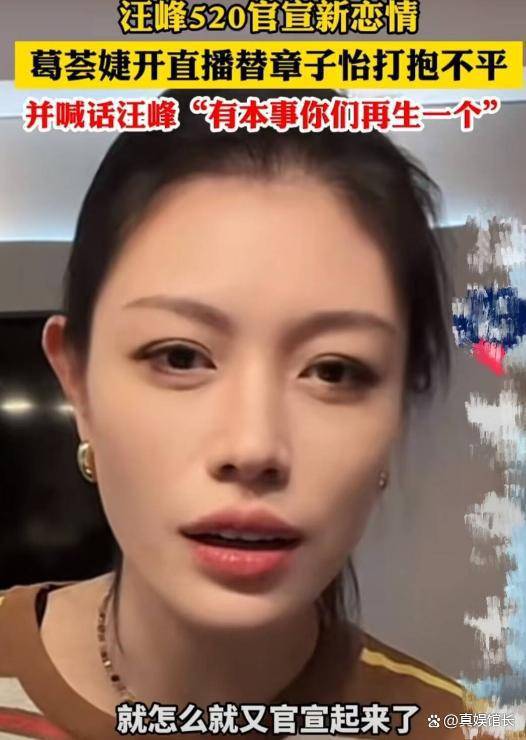 被嘲"恋爱脑"的森林北,其实赢麻了_汪峰_网友_葛荟婕