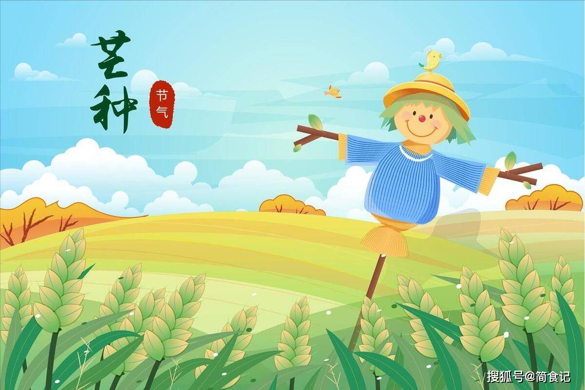 6月5日芒种,不管多忙也要"吃2样,喝2样",遵循传统,家人健康