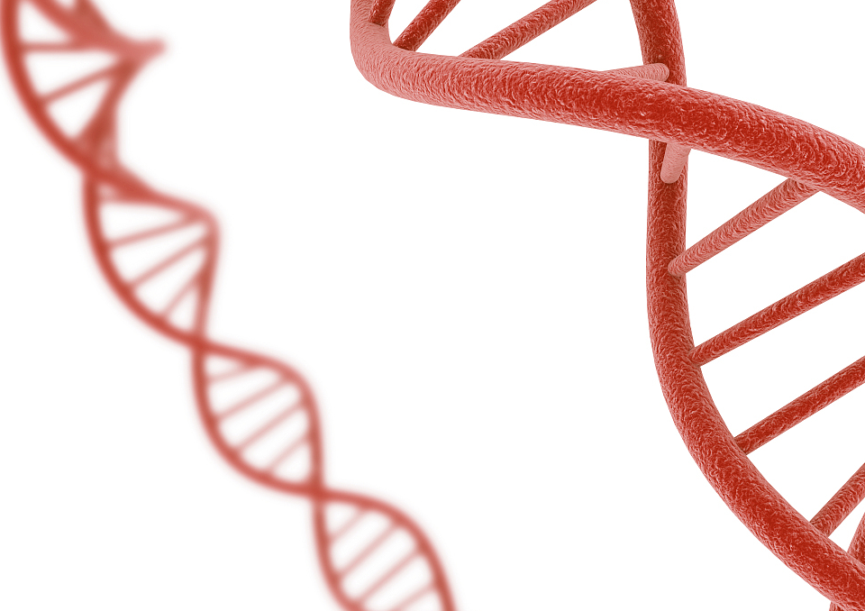 不止它,"偏爱"男性的遗传病,基因早已"出错"_染色体_患者_女性