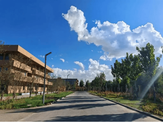 塔里木大学师资怎么样?高学历,高水平,人才队伍不断扩张!