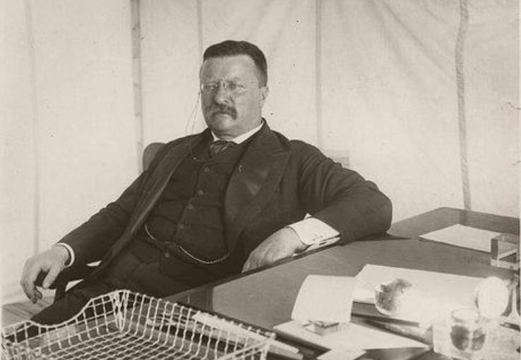 美国人物史评说——西奥多推动立法过程中的成败与其实用主义立场