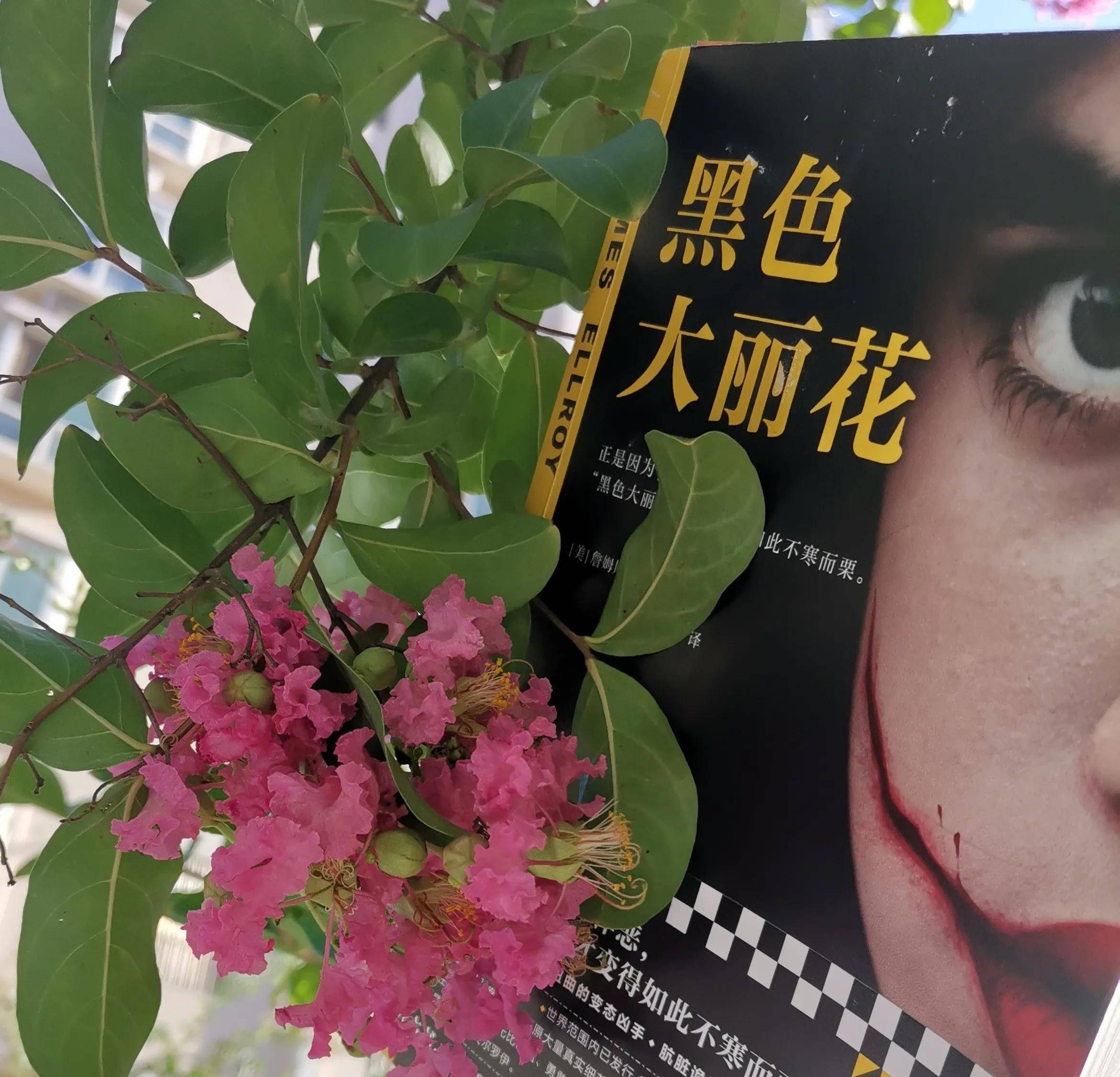 追踪《黑色大丽花》,真相永远比想象更可怕