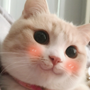猫:忍着呗,还能离咋的?