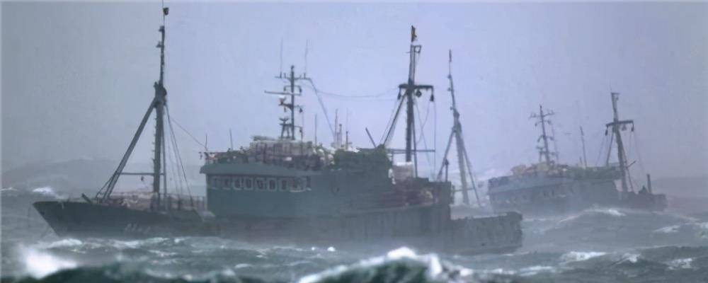 鲁荣渔2682号惨案,真实版大逃杀,33人出海作业,22人被喂了鲨鱼