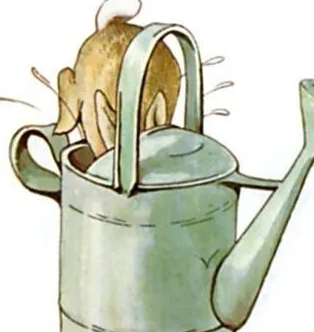 欧美明星读绘本系列(1):彼得兔的故事