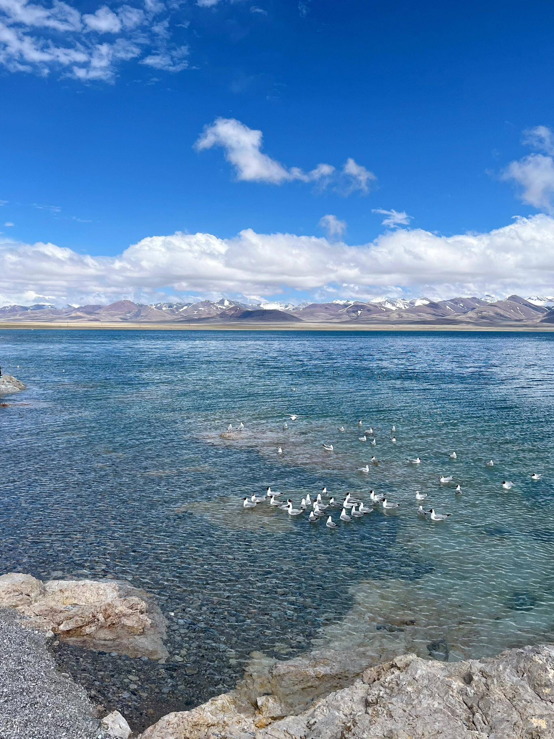 纳木错湖景点讲解图片