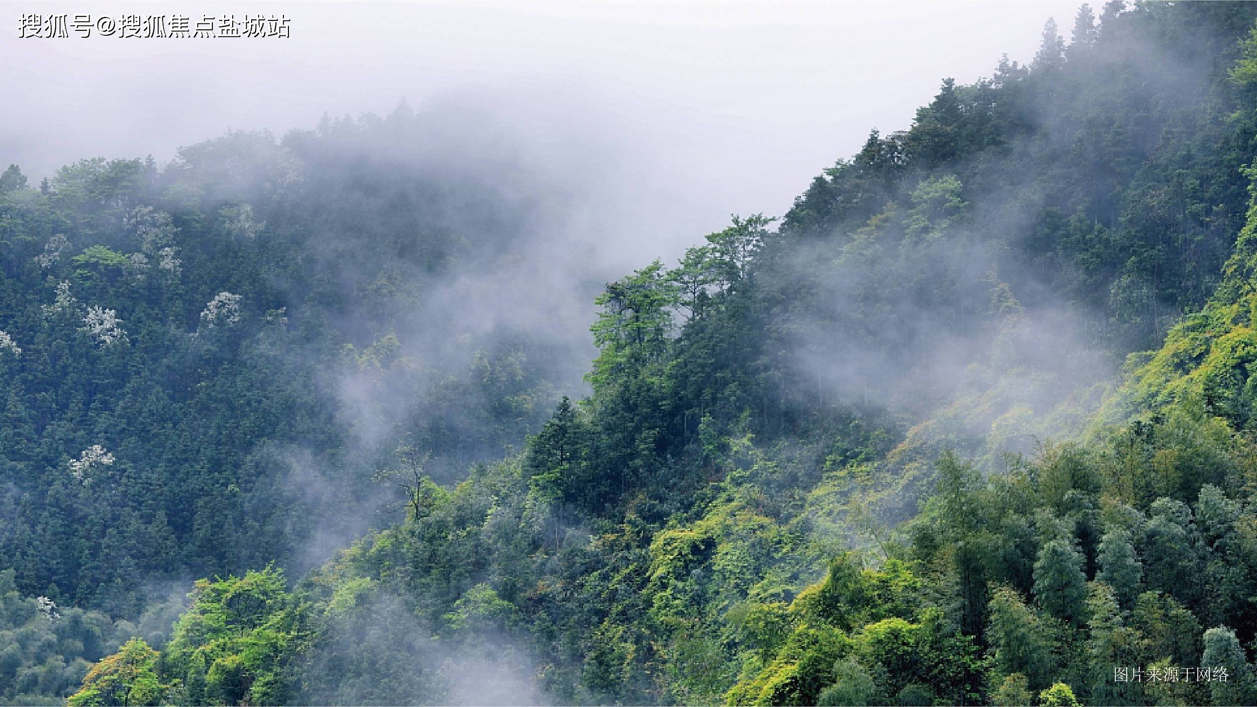 安吉春风桃源(春风桃源)首页网站|欢迎您|春风桃源楼盘详情/春风桃源