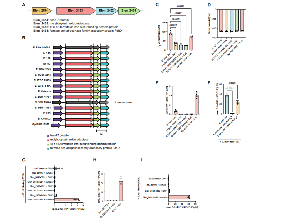 cell(if=64.5) | 肠道菌群新发现!另辟蹊径产生孕激素