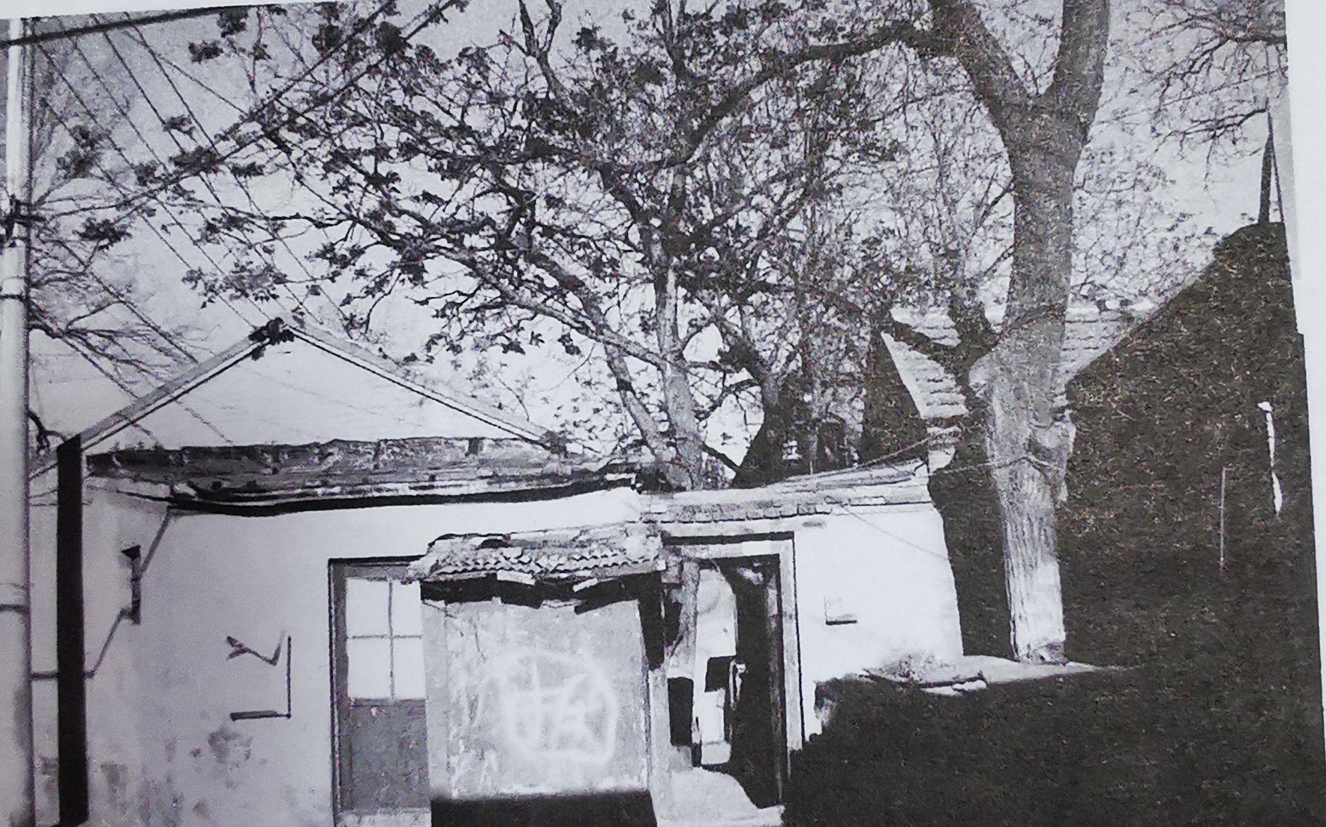 鲁迅再婚后,朱安为何说待他再好也是无用?两人的日常道出了真相