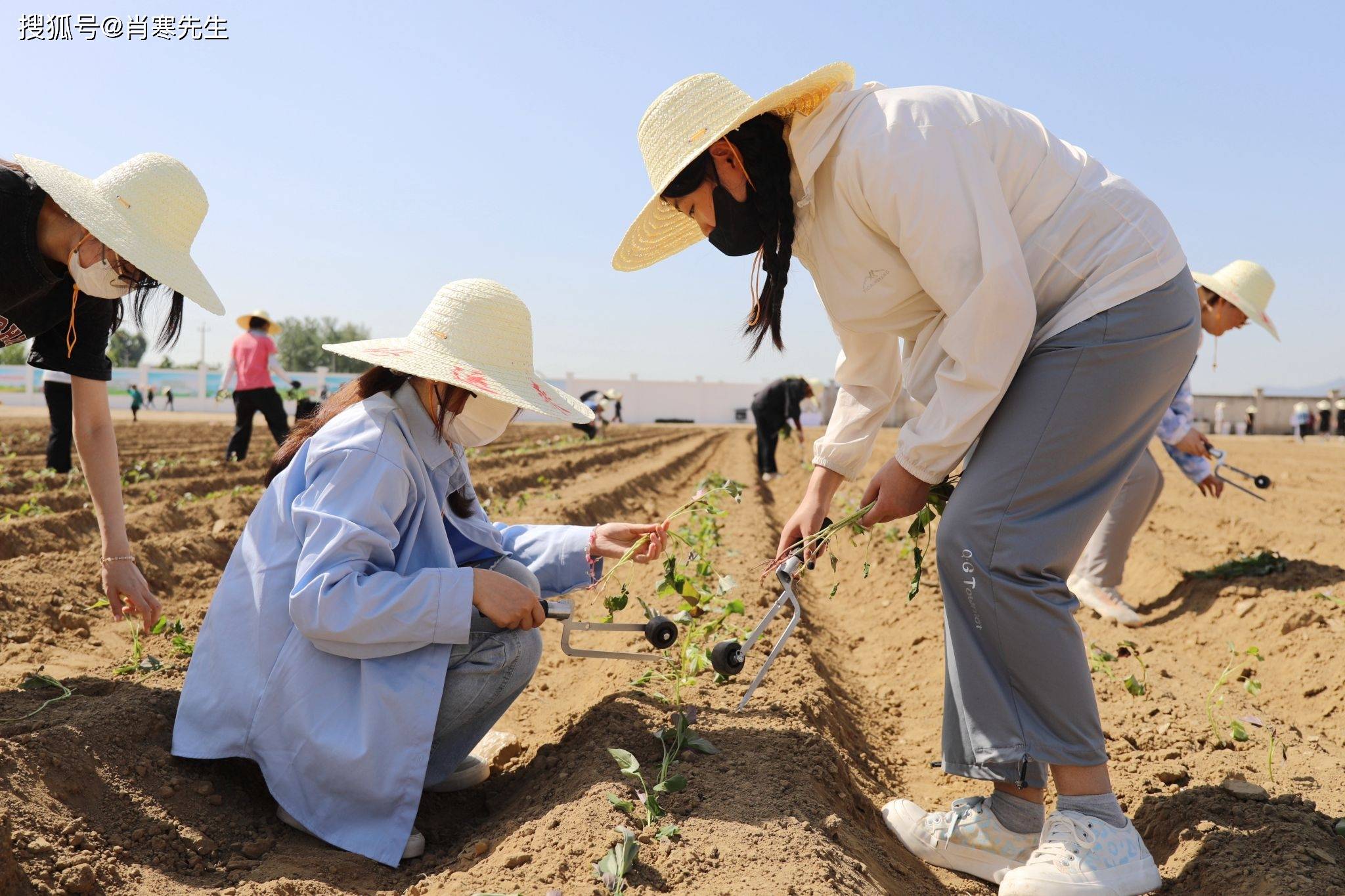 在新疆生活9年,拥有2000亩农场,娶了维族媳妇,彩礼是四头骆驼