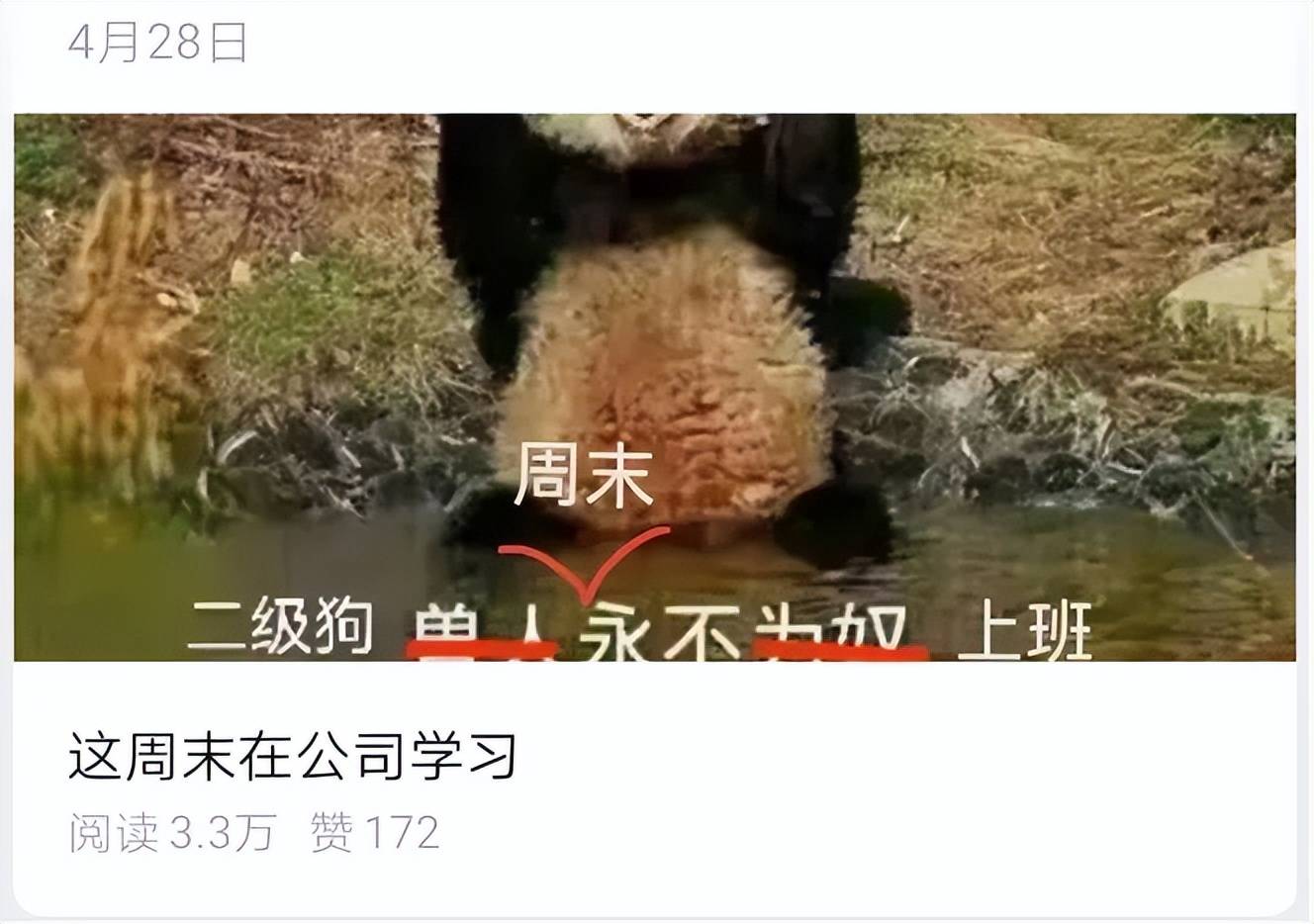 基金美女摆摊卖花,私募小哥送外卖,金融人转行有钱就干?