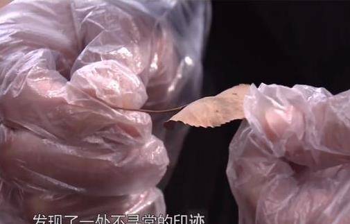 "消失的夫妇",烟锁殡仪馆,《今日说法》是多少人的童年阴影
