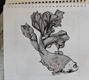 手绘144分,总分408分!