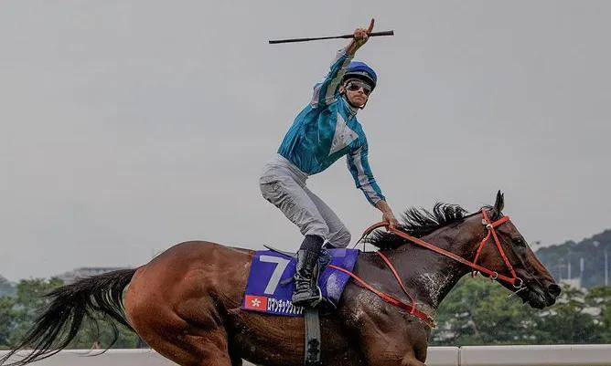 【视频】中国骄傲!"浪漫勇士"在日本攻下安田纪念赛