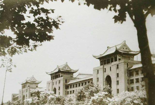 直到转至s大学,她的事业才有了些好转.