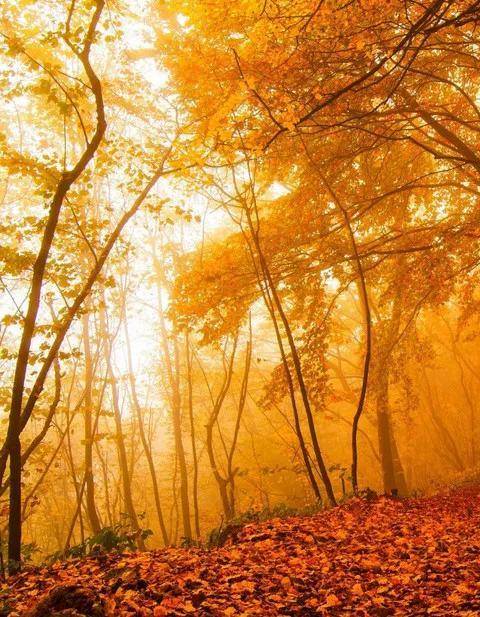 顶级绝美秋色美景,绚丽迷人