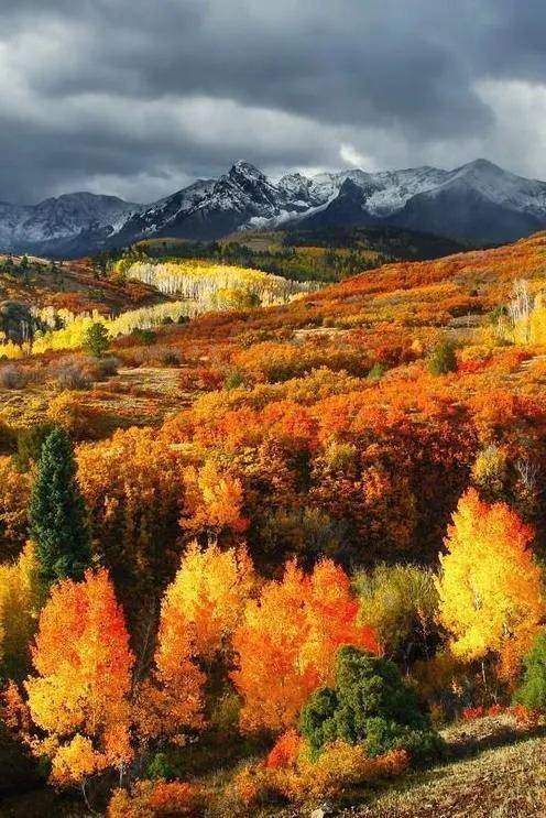 顶级绝美秋色美景,绚丽迷人