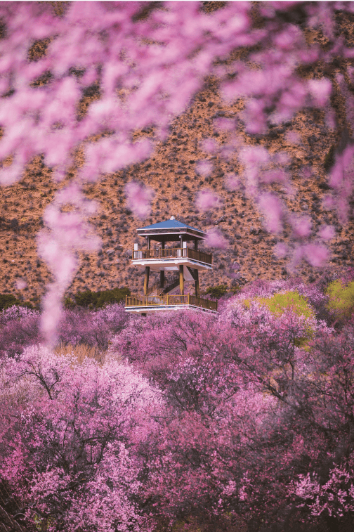 凭何跻身2024中国最美县域榜单?