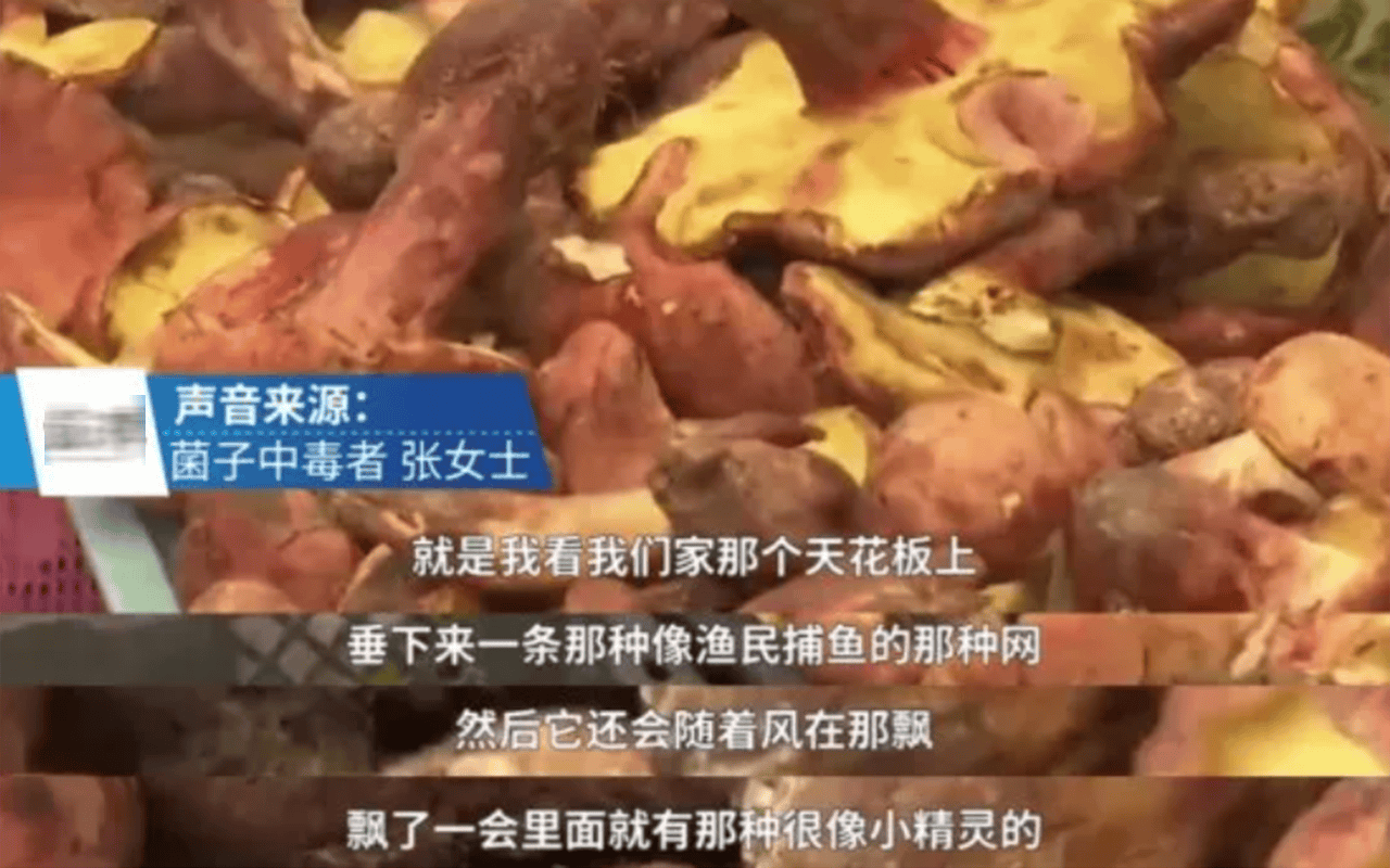 菌子季的云南人,又到蘑菇中毒的时候了,每天都在中毒边缘试探
