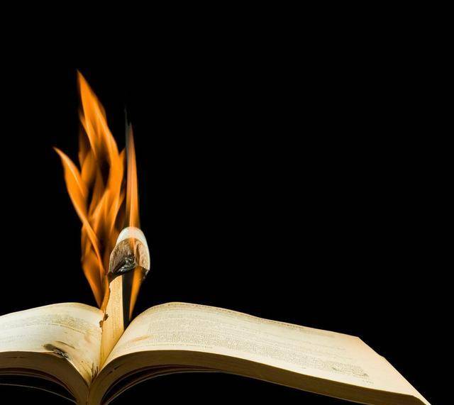 壁纸 花 桌面 640_571