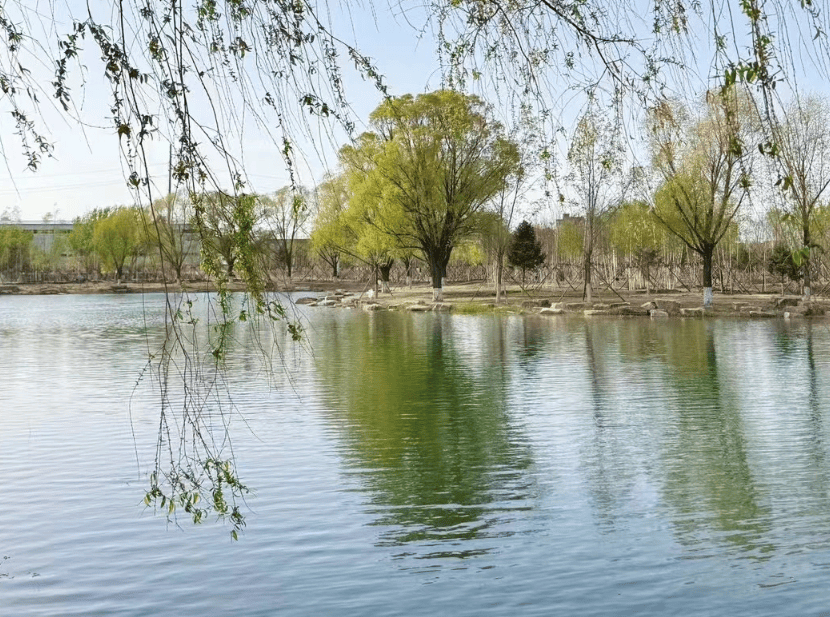 福建农林大学湿地公园图片