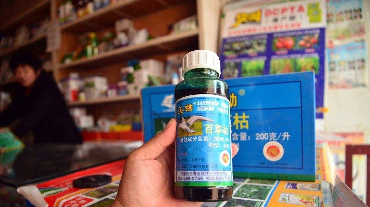 2021年,河北18岁女孩被姐夫投毒百草枯,"你喝了嗓子就不疼了"