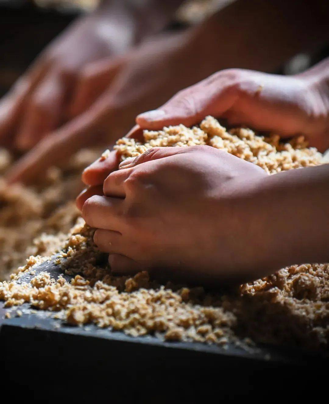 【芒种】慢饮一杯迎宾酒,风吹麦黄仲夏来