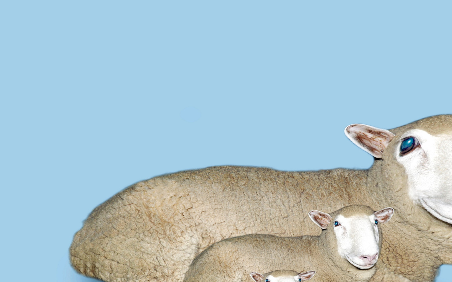 《由逗比搞笑全集》有个人来到咖啡店:"请问有冷冻咖啡吗?