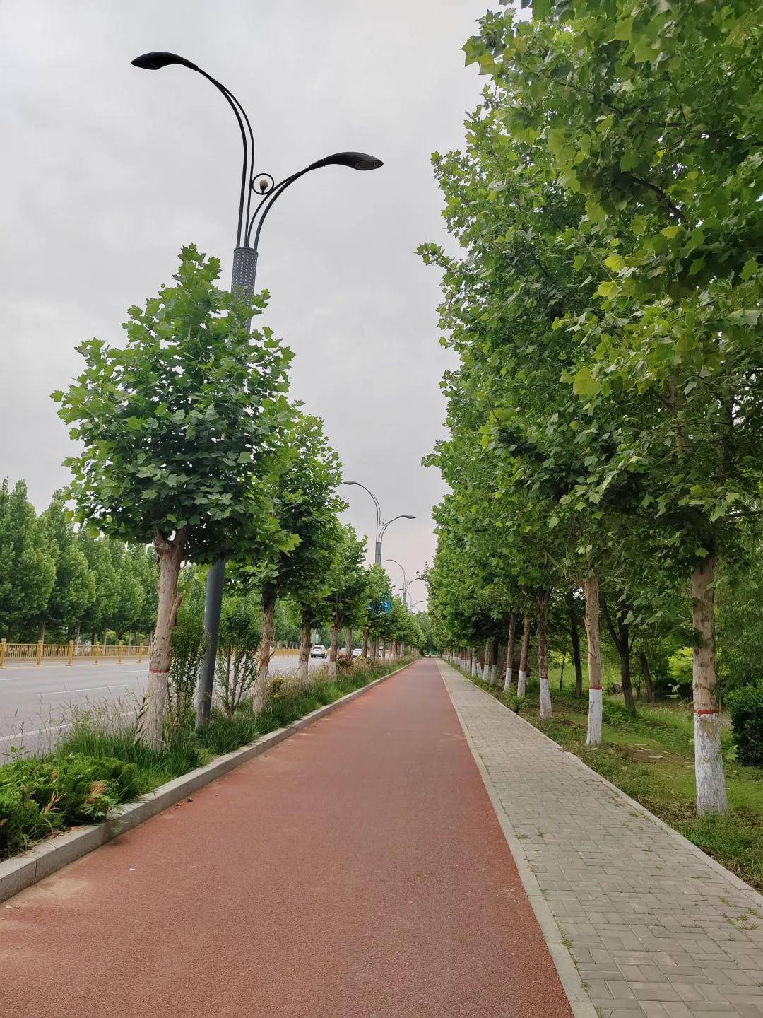 衡水市桃城区郑家河沿镇风光掠影