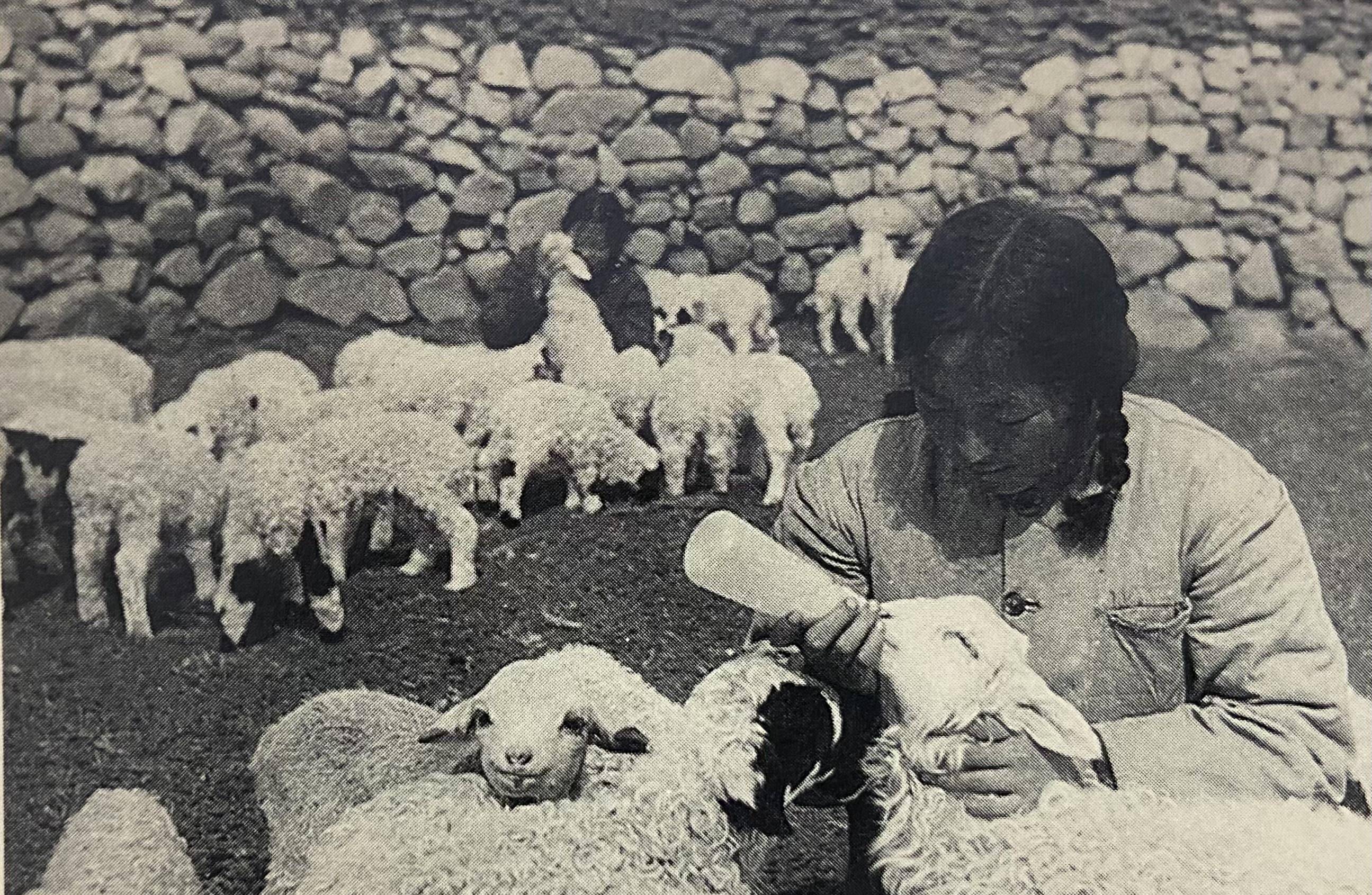 老三届知青,21岁嫁给二婚锅炉工,干啥赔啥!86年欠人16万,咋还