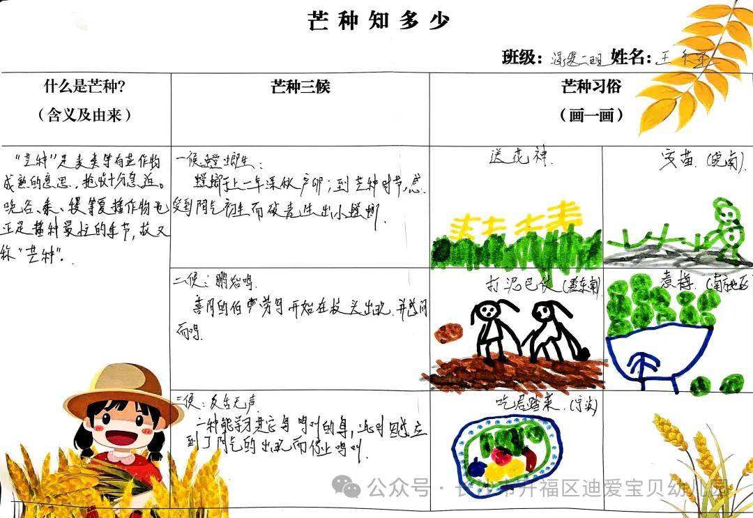 "芒"有所得,"种"有所获——长沙市开福区迪爱宝贝幼儿园混龄二班