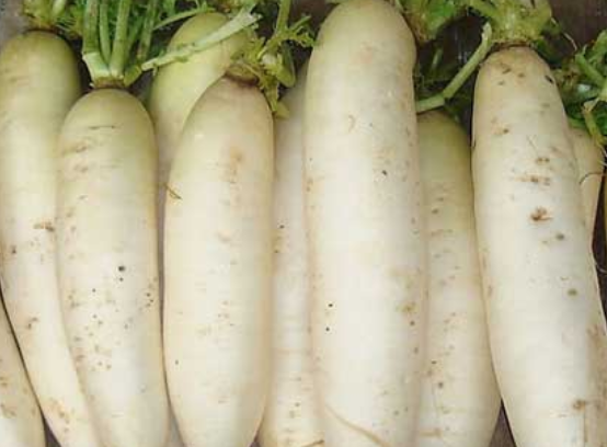 但是在吃白萝卜的时候也是有着一定的讲究的,如果经常和这三种食物一