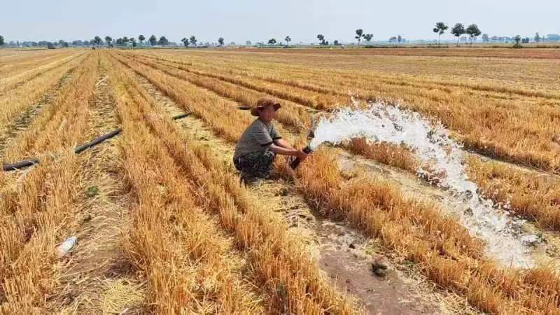 郏县冢头镇:不误农时抗旱抢种 打牢秋粮丰收基础