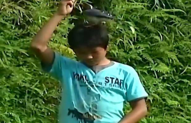 12岁少年被称为"鸟神",不仅能指挥行动,而且还能和它们说话_吴永桃