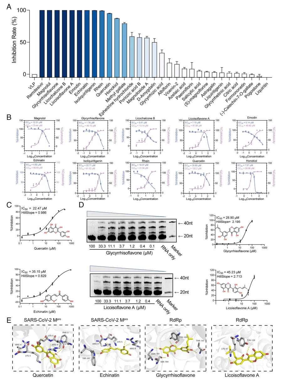 pnas | 黄璐琦院士联合高福院士团队解析化湿败毒方药效成分