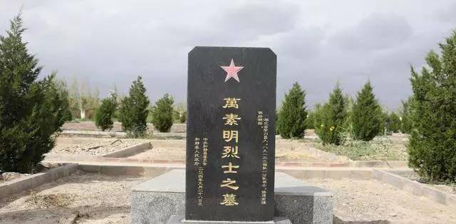 新疆反恐牺牲烈士名单图片