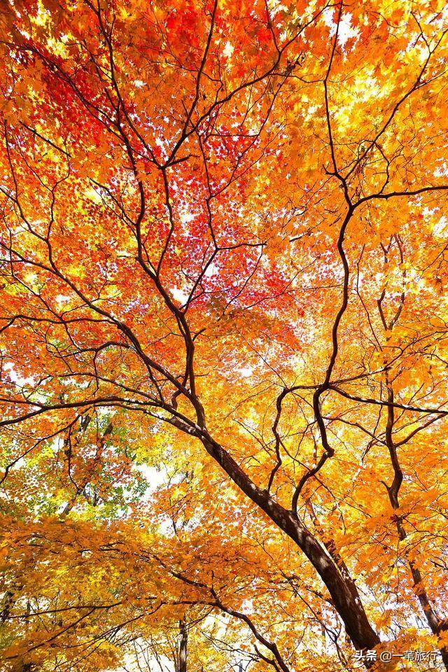 盘点秋天最美的那些景色