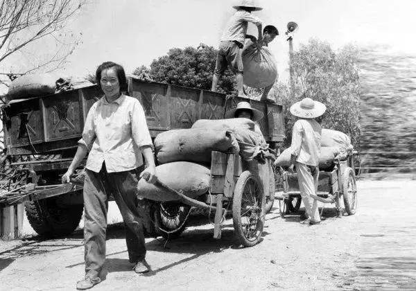 有人问:六七十年代的农村那么贫穷,为什么还有很多人去怀念它?