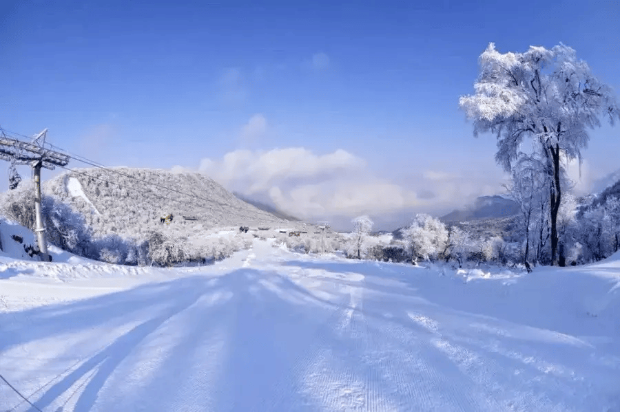 被雪花铺满的山道蜿蜒至山顶,坐着车上山,一路从雾凇中穿行,十分唯美