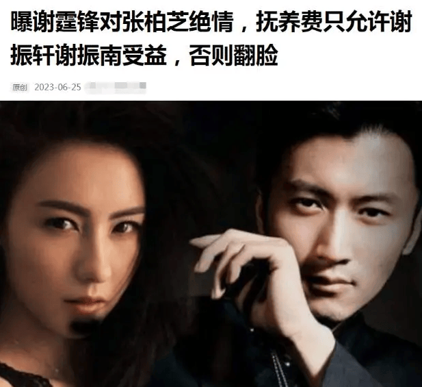 谢霆锋对张柏芝绝情,管控7300万抚养费,不准其幼子与其娘家使用