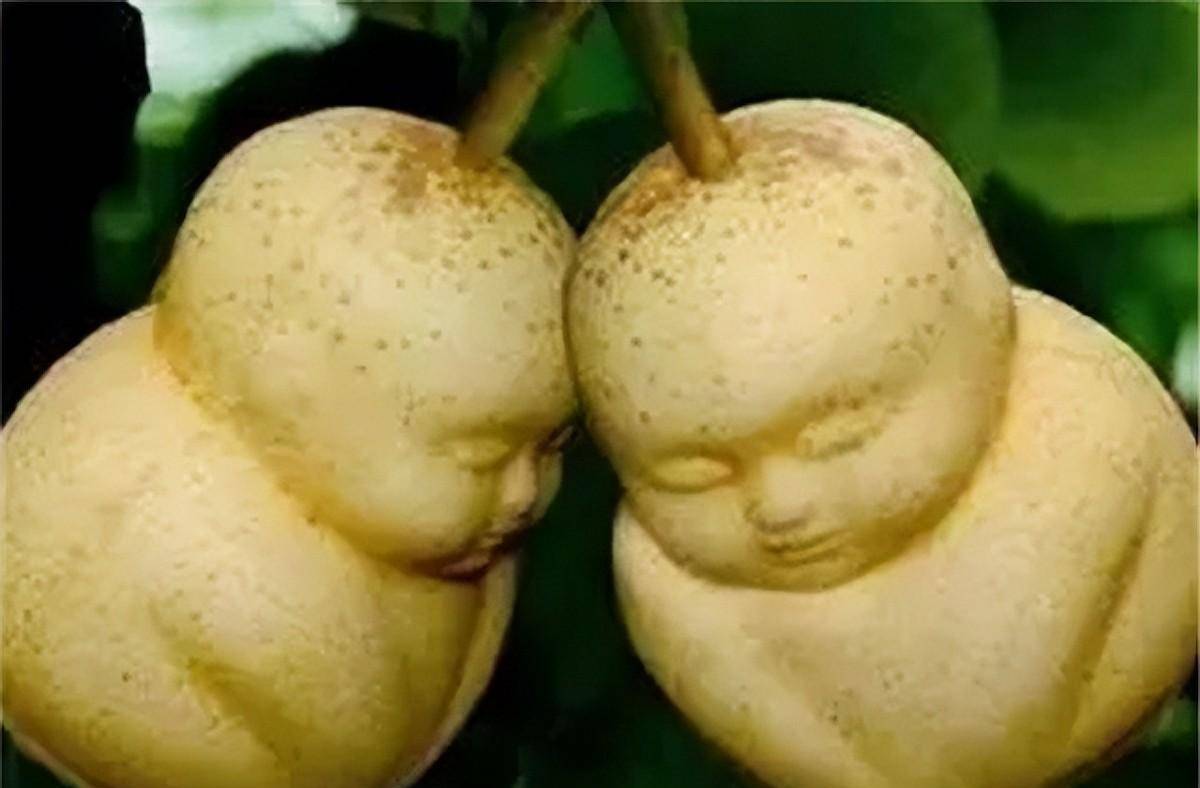 官方参考:《西游记》