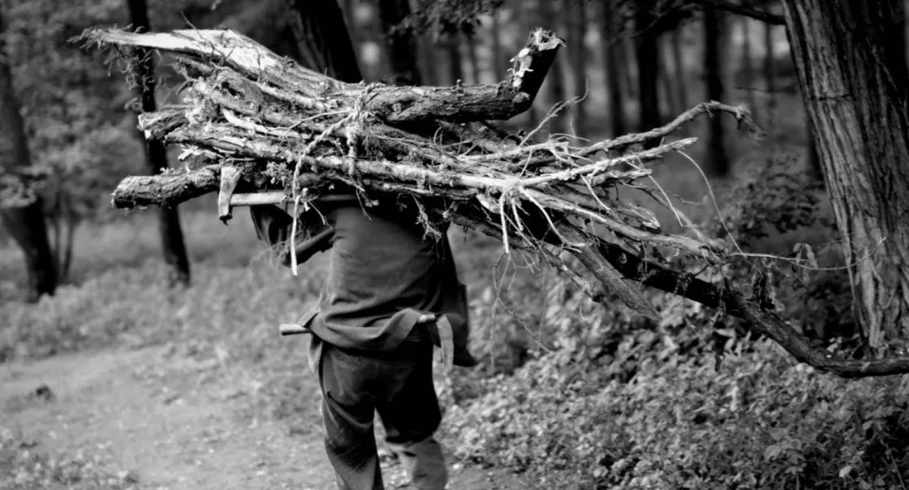 80年代,山西农民砍柴发现藏金洞,携2块金砖到银行兑换当场被抓