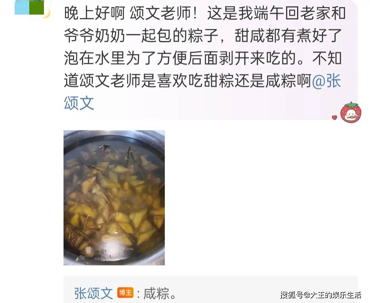 原创            张颂文晒重量级粽子王，粽子比手还要大，小熊老师：咸粽最为好吃-抗美援朝 张文荣