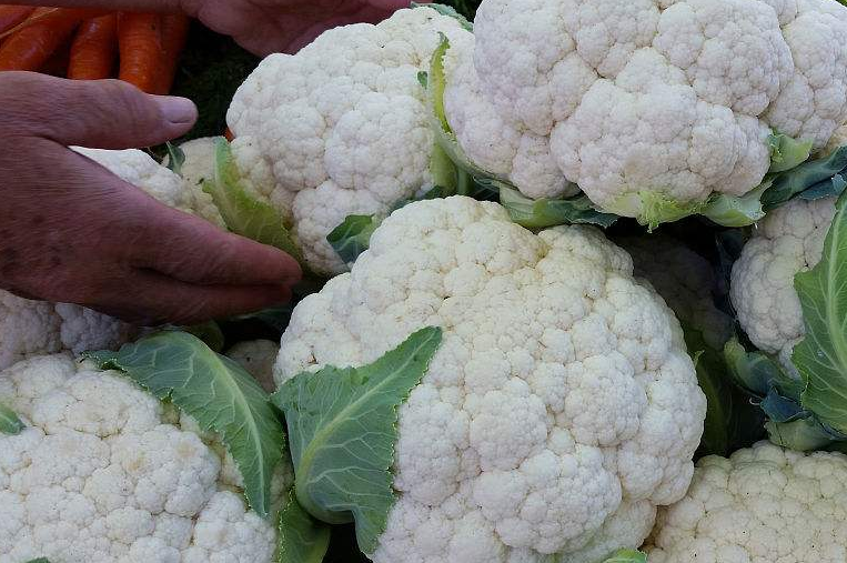 种植花椰菜,农民怎么施肥,才能让花椰菜优质高产?