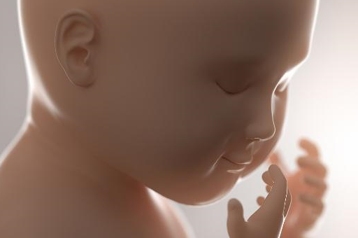 3,味觉发育在孕期七个月的时候,胎儿的味觉开始形成,能够辨别出酸甜苦
