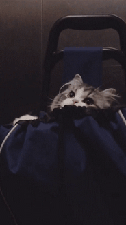 妈耶,被这个wink电到了!