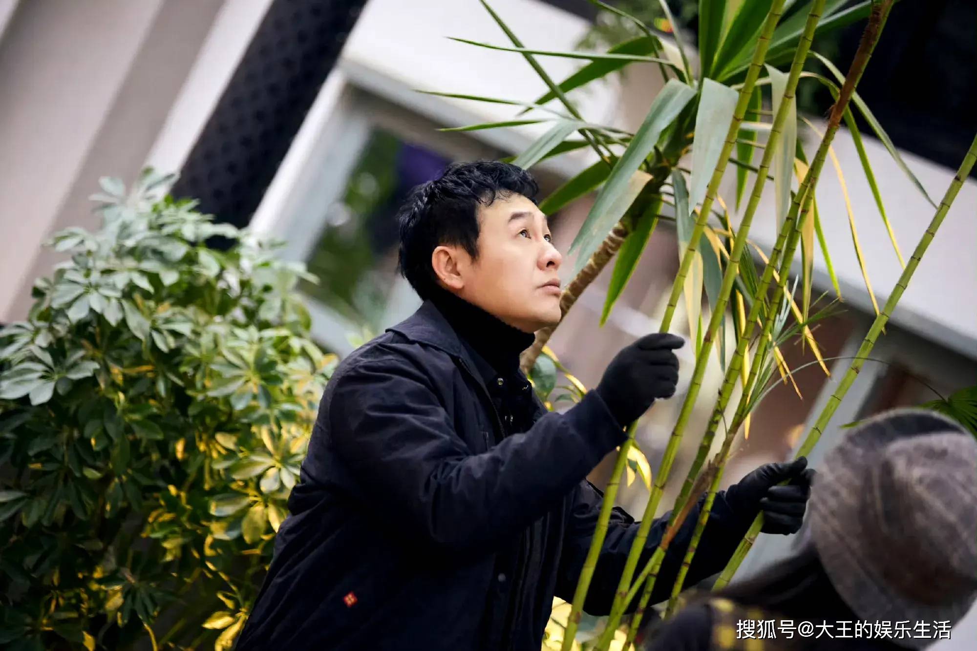 原创            张颂文晒重量级粽子王，粽子比手还要大，小熊老师：咸粽最为好吃-抗美援朝 张文荣